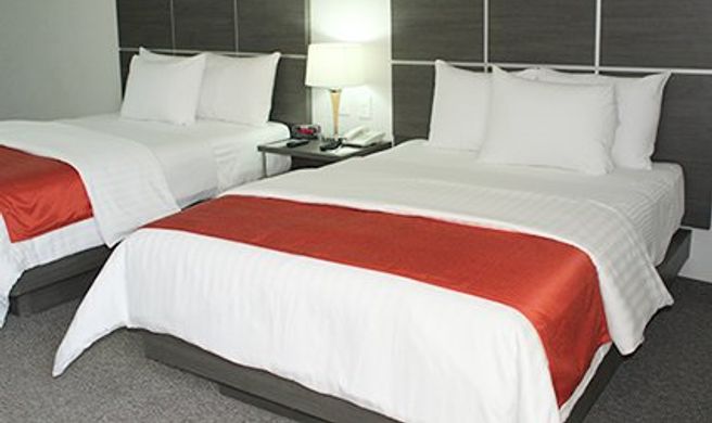 Comfort Inn Queretaro Room