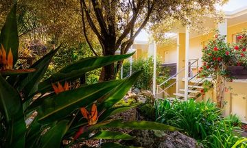 Paihia Pacific Resort Hotel