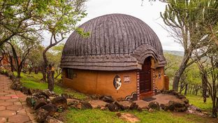 Shakaland