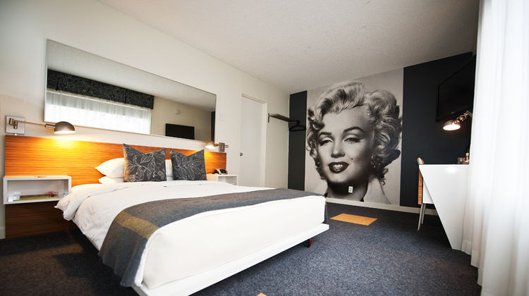 Jupiter Hotel Room