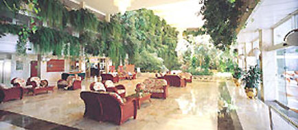 Hotel Vulcano Lobby