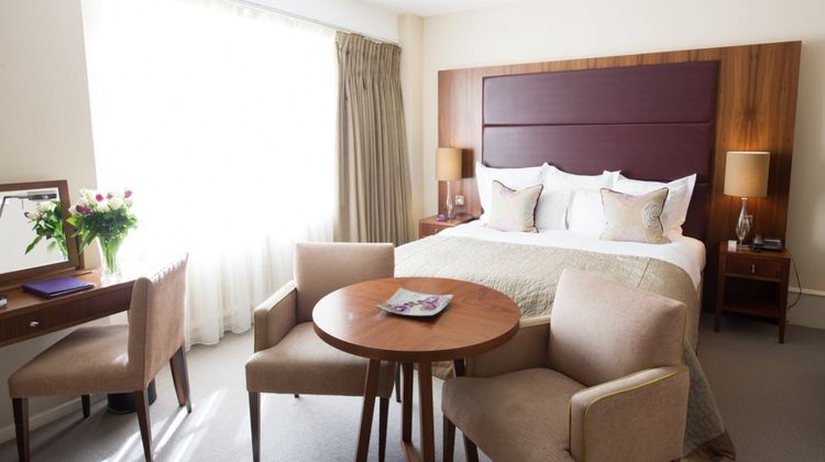 Dolphin House Room