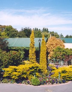 Commodore Court Motel