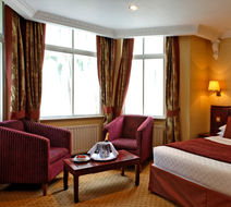Blue Orchid Rochester Hotel Room