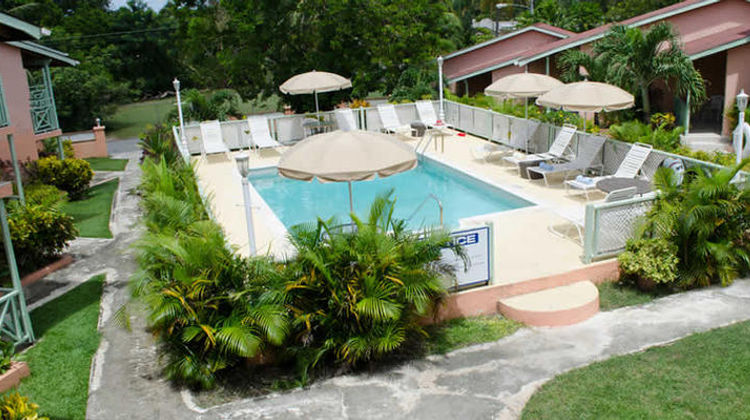 Halcyon Palm Exterior