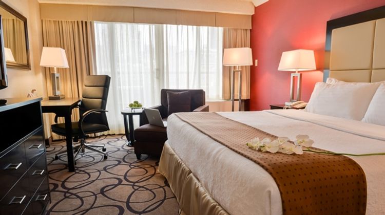 Holiday Inn Centrevillle Downtown Room
