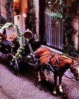 Hotel Gabbia d'Oro