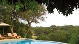 Thornybush Game Lodge Pool