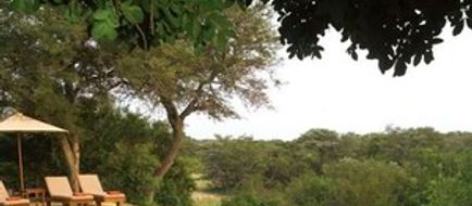 Thornybush Game Lodge Pool