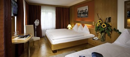 Hotel Hartlwirt Room