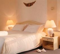 Vichy Spa Hotel Les Celestins Room