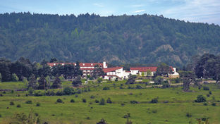 Hotel Esentepe