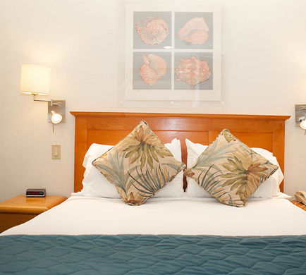Laguna Surf Resort Room