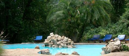Siana Springs Intrepids Pool