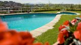 Avenida Hotel Pool