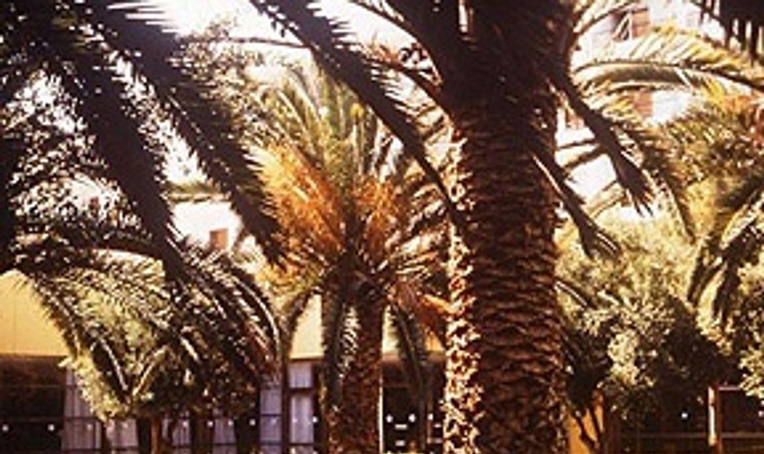Doreta Beach Resort & Spa Exterior