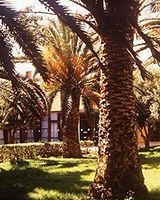 Doreta Beach Resort & Spa