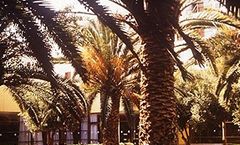 Doreta Beach Resort & Spa