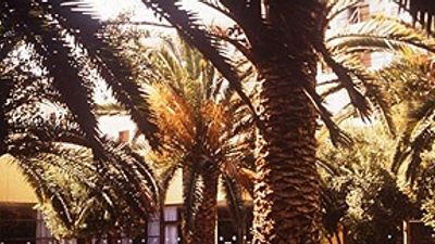 Doreta Beach Resort & Spa