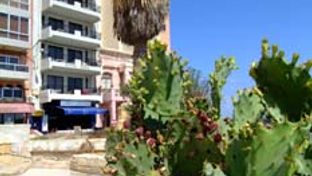 Roma Hotel