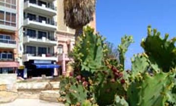 Roma Hotel