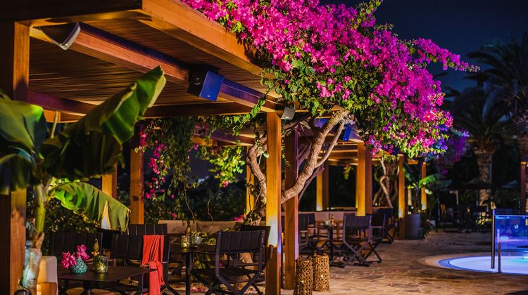 Alion Beach Hotel Bar/Lounge