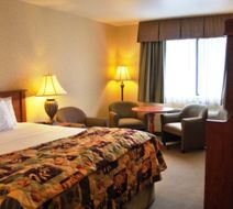Lavissh Inn & Suites Room