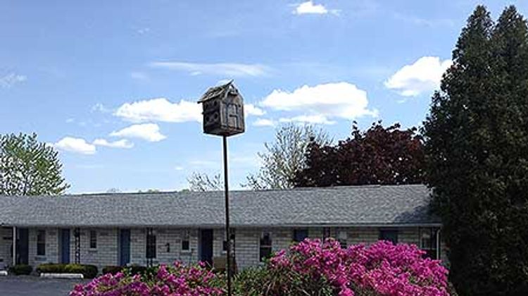 Blue Sky Motel Exterior