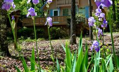 Pine Mountain Club Chalets