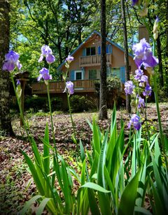Pine Mountain Club Chalets