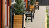 <b>The Timberline Exterior</b>