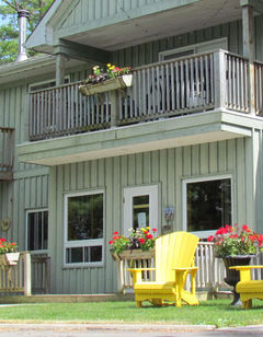 Pine Vista Resort