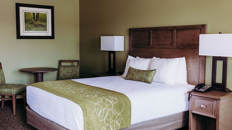 Pacific Inn Motel Room