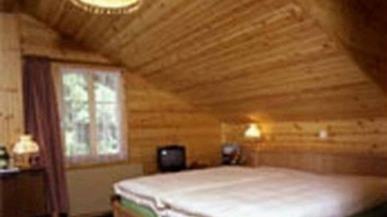 Edelweiss Hotel Room