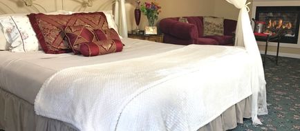 Fox and Hound B&B of New Hope Room