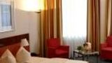 Alexander Am Zoo Room