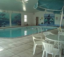 Ozark Inn and Suites Pool