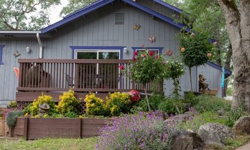 Little Valley Inn