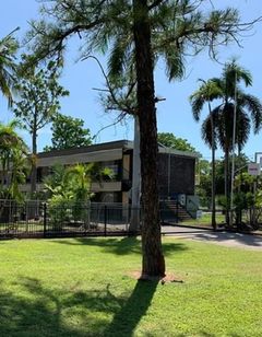 Pine Tree Motel