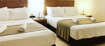 Pine Tree Motel Room