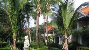 Coco Reef Resort