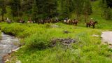 <b>320 Guest Ranch Recreation</b>