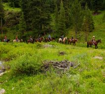 320 Guest Ranch Recreation