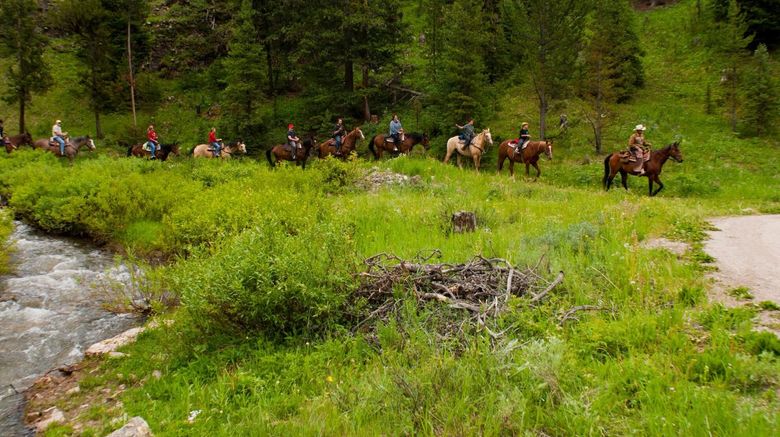 <b>320 Guest Ranch Recreation</b>