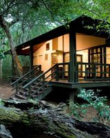 Phinda Forest Lodge