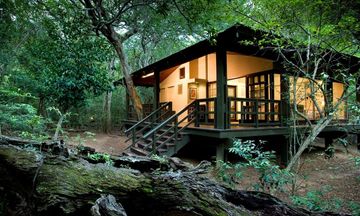 Phinda Forest Lodge