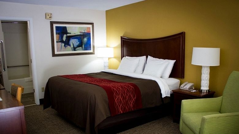 Grand Vista Hotel Room