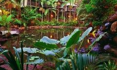Daintree Eco Lodge & Spa
