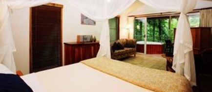 Daintree Eco Lodge & Spa Room
