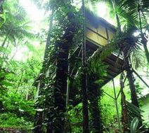 Daintree Eco Lodge & Spa Suite